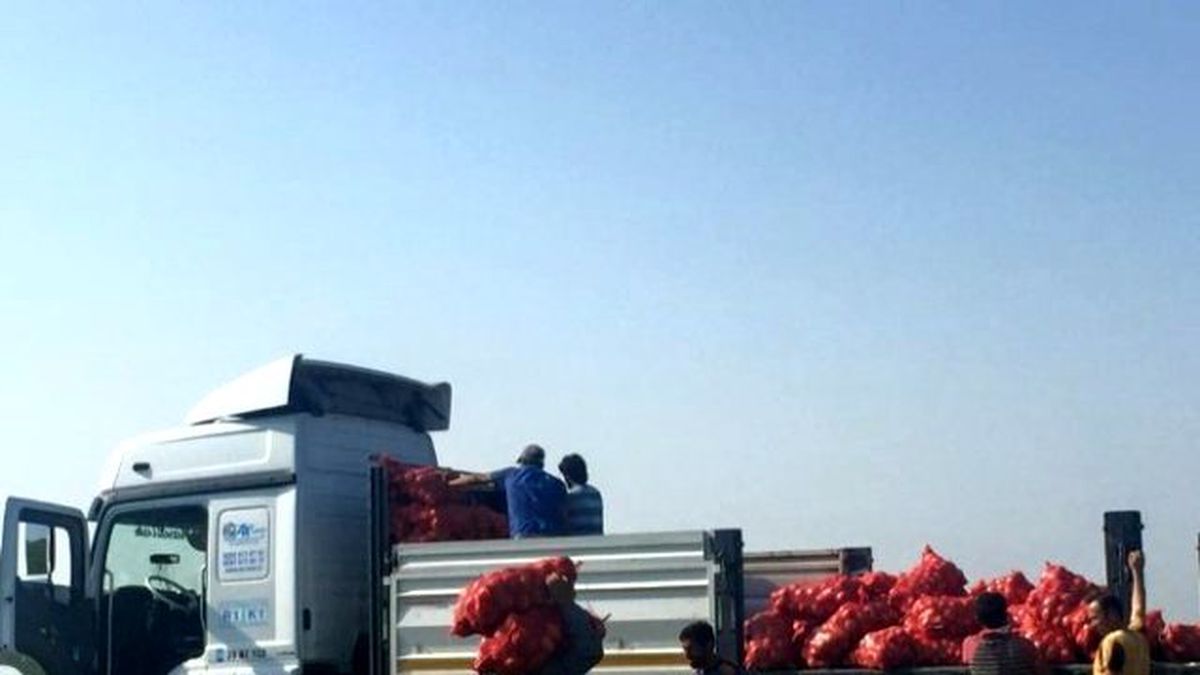 Üretim Düştü, Soğan Para Etti