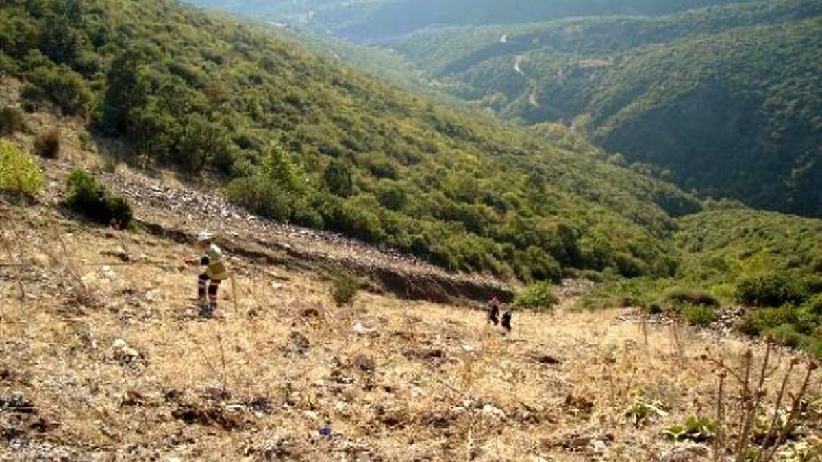 10 Gün Önce Ehliyet Alan Kadın ile Kocası Kazada Öldü