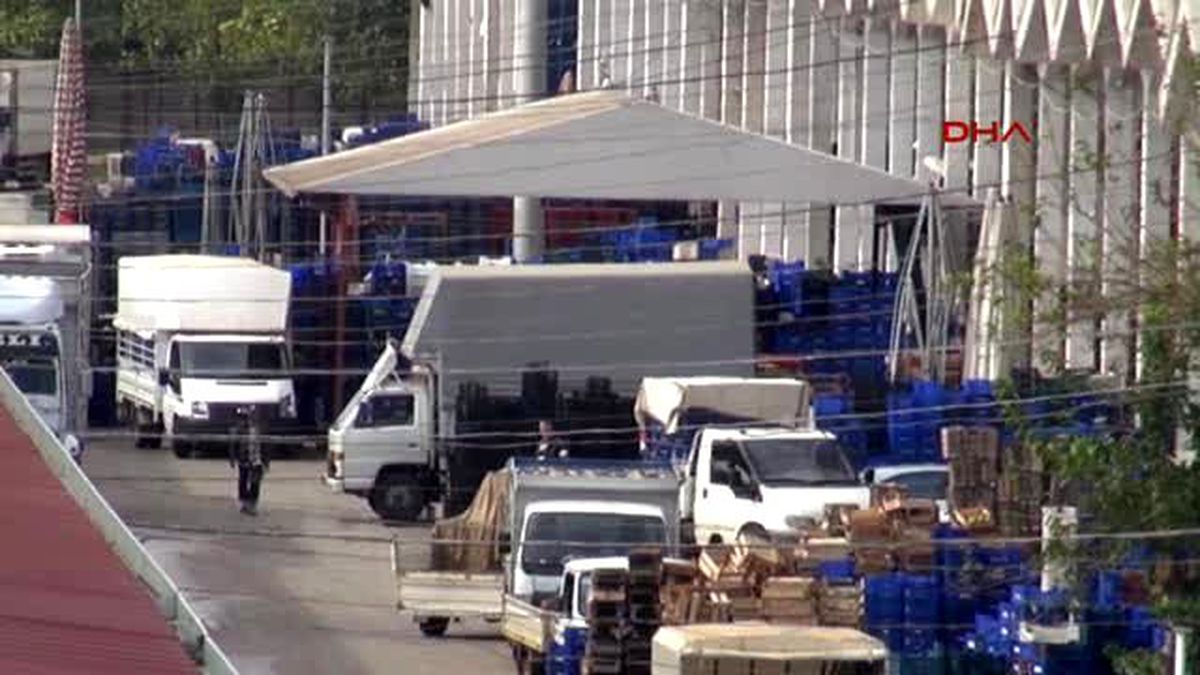 Antalya Sebzede Yayla Sezonu Bitti, Sera Bekleniyor