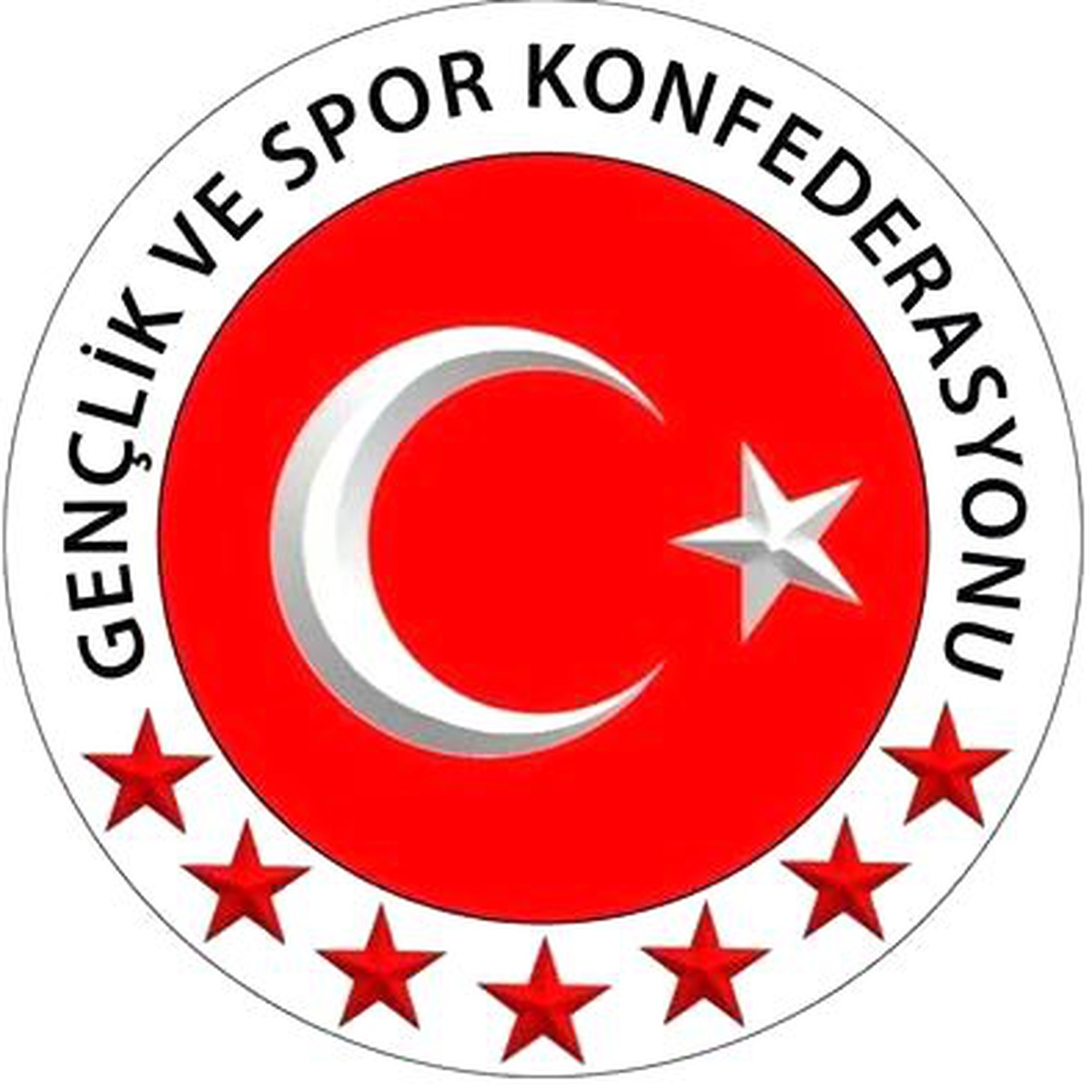 Mehmet Özcafer, Türkiye Gençlik ve Spor Konfederasyonu Genel Başkan Yardımcısı Oldu
