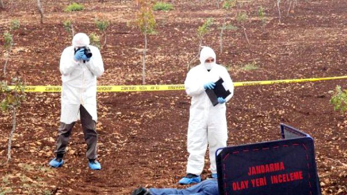 Şanlıurfa'da Boş Arazide Vurularak Öldürülmüş Erkek Cesedi Bulundu