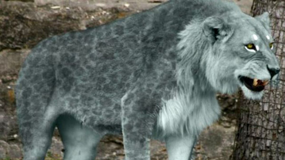 Asırlar Öncesine Ait Aslan Yüzü Ortaya Çıktı!