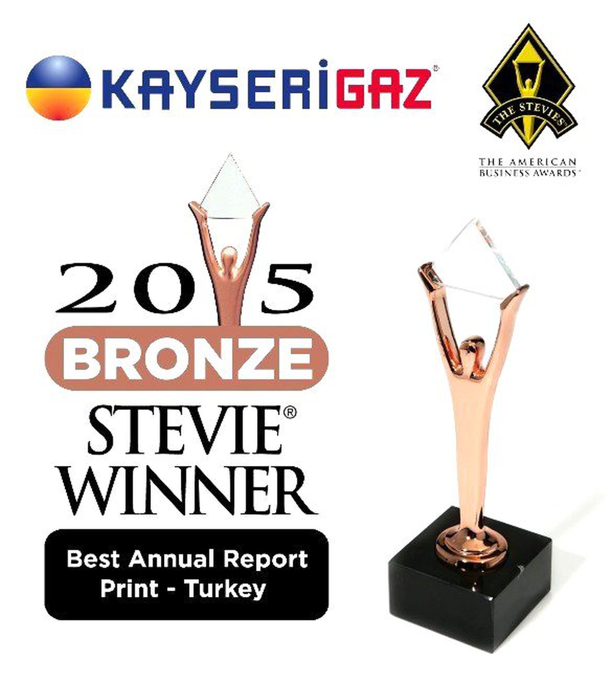 Kayserigaz Uluslararası Stevie Ödülü\'nü Kazandı