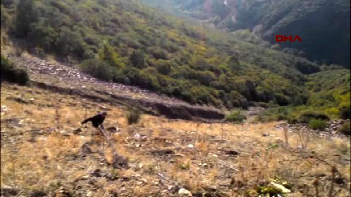 10 Gün Önce Ehliyet Alan Kadın ile Kocası Kazada Öldü