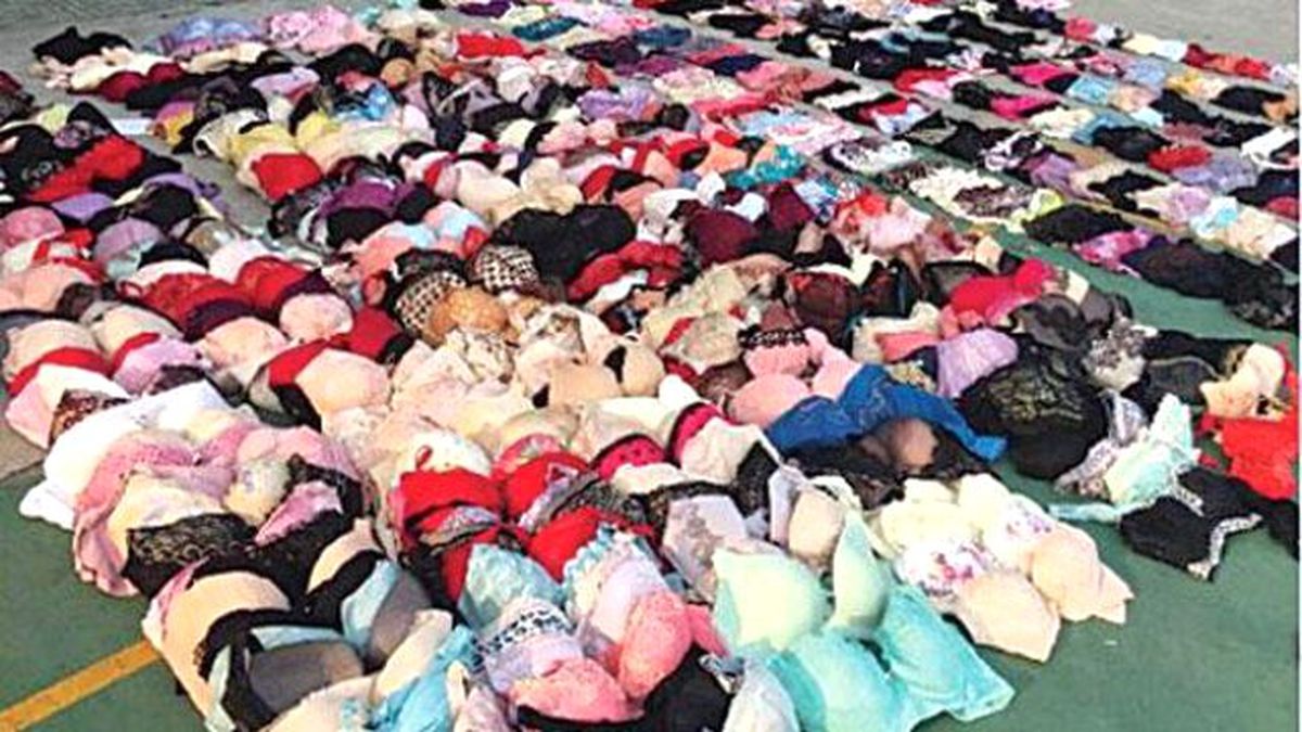 'Oltalı' Sütyen Avcısı Yakalandı