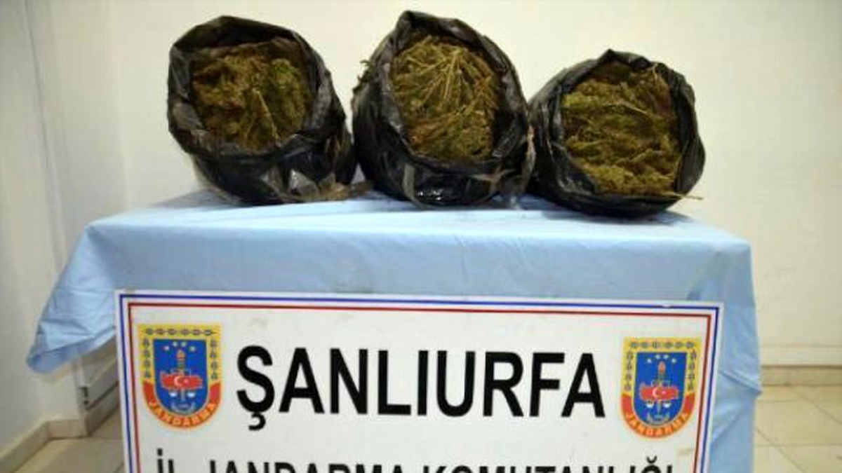 Şanlıurfa\'da Otomobilde 30 Kilo Esrar, 1 Tutuklama
