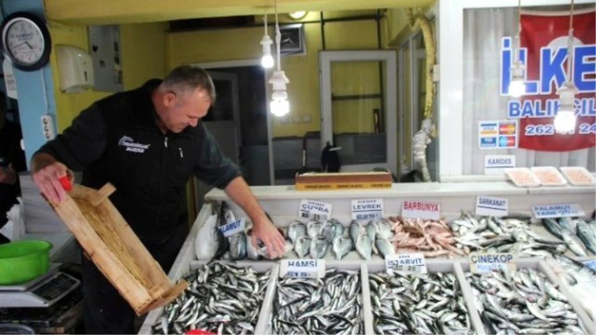 Satışlar Arttı Balıkçının Yüzü Güldü