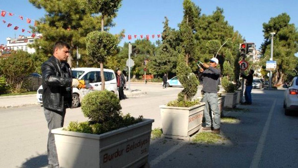 Süs Bitkilerine Sonbahar Bakımı