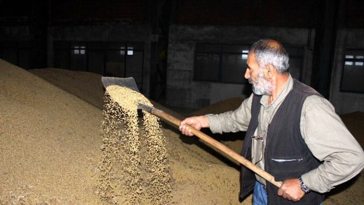 2 Milyon Tonluk Soya İthalatına Bakanlık El Attı