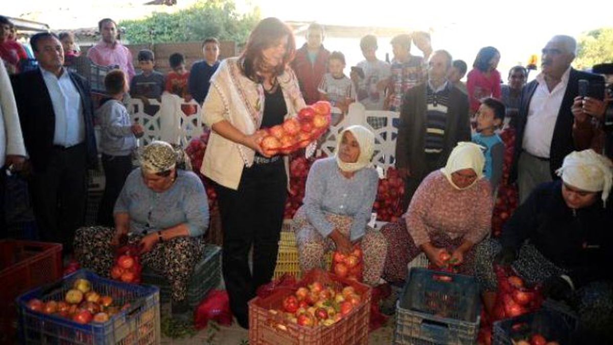CHP'li Başkan Çerçioğlu, Bu Kez Nar Üreticisini Sevindirdi