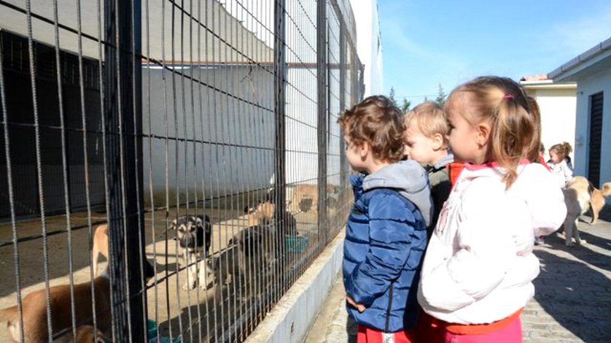 Geçici Bakımevi\'nin Misafirleri Minik Öğrenciler Oldu