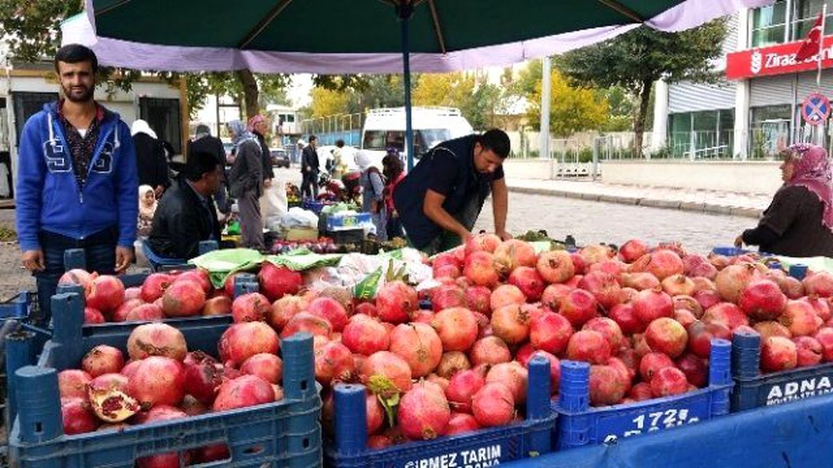 İdil\'de Nar Hasadı Başladı