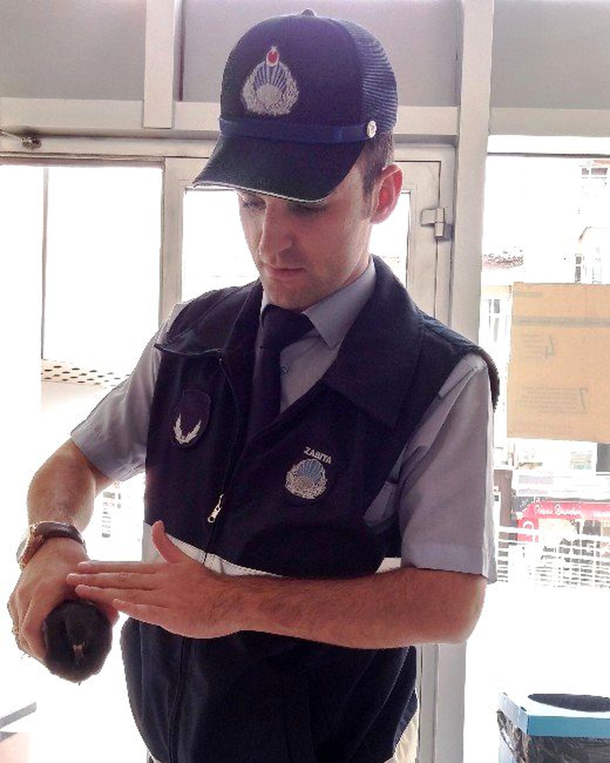 İzmit Zabıtası Hayvanlara Yerdim Etmeyi Sürdürüyo