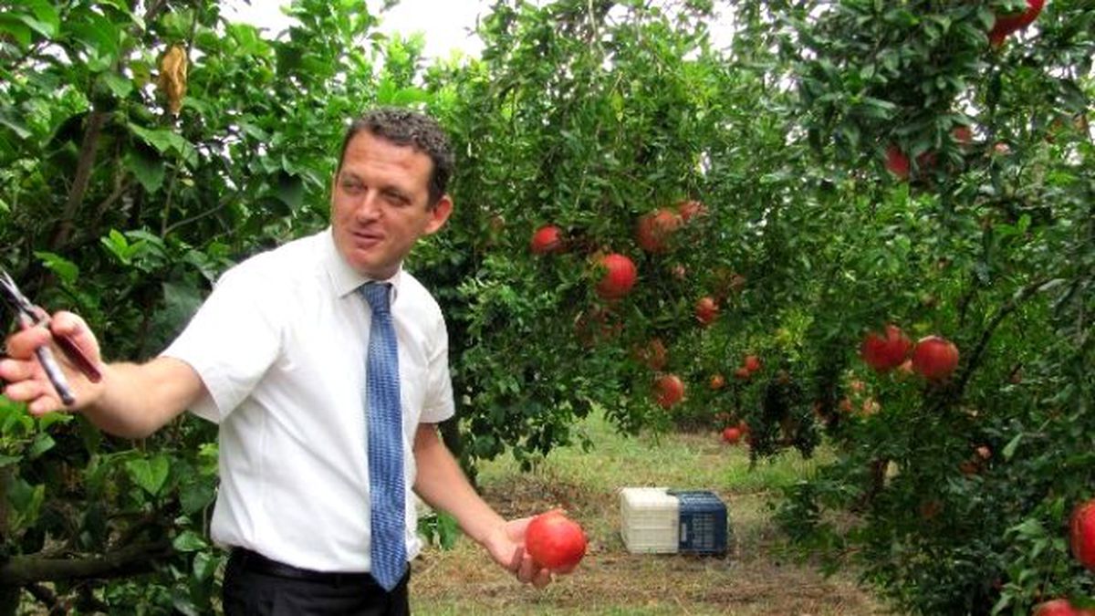 Kaymakam Ürkmezer, Nar Hasatı Yaptı