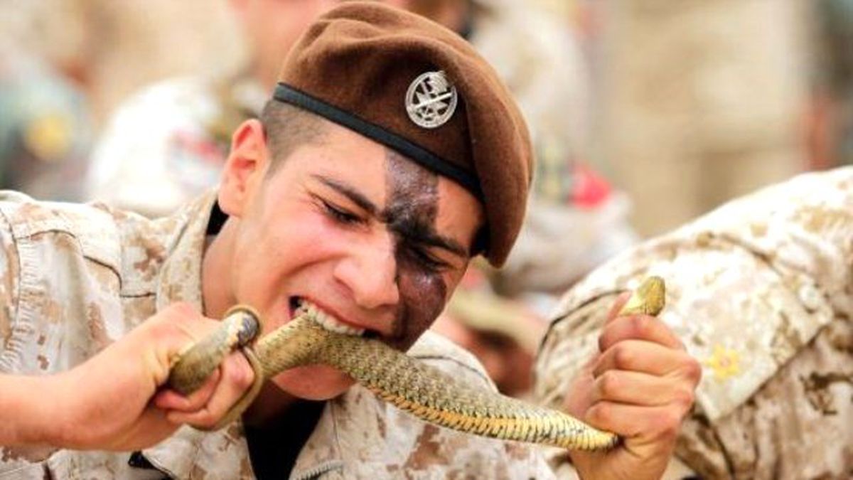 Komandolar Diri Diri Yılan Yedi!