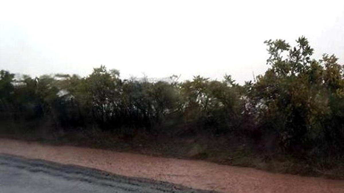 Sel Suları Palu- Arıcak Yolunu Kapattı
