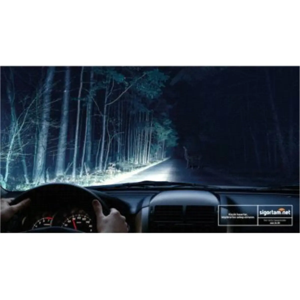 Sigortam.net'e Bir 'Altın Örümcek' İki 'Bronz Elma' Geldi