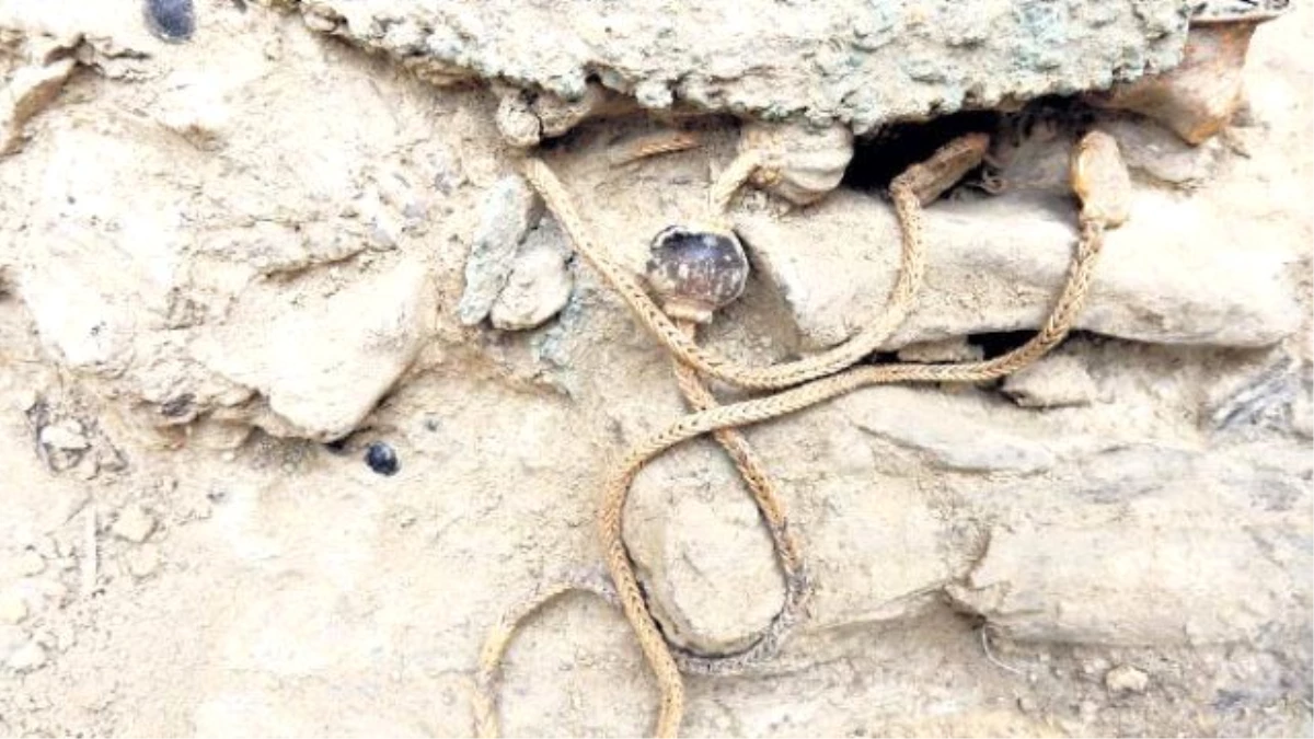 3500 Yıllık Mezardan Hazine Çıktı, Arkeologlar Gözlerine İnanamadı