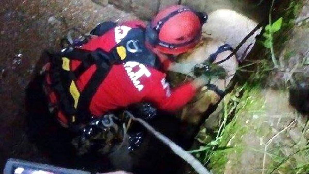Akut Sokak Köpeği İçin Seferber Oldu