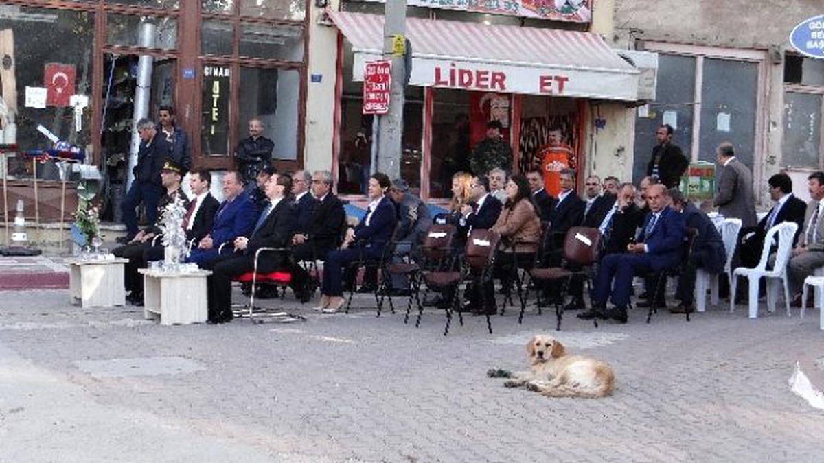 Gölpazarı\'nda 29 Ekim Cumhuriyet Bayramı Coşkuyla Kutlandı
