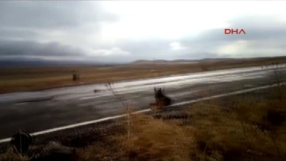 Diyarbakır Silvan-Batman Karayolunda Bulunan Patlayıcı Böyle İmha Edildi