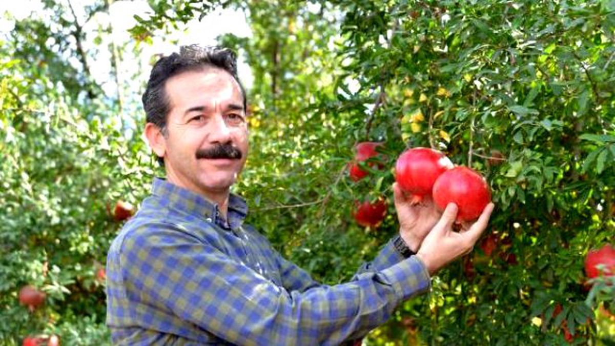 Nar Üreticisinin Pazar Sıkıntısı