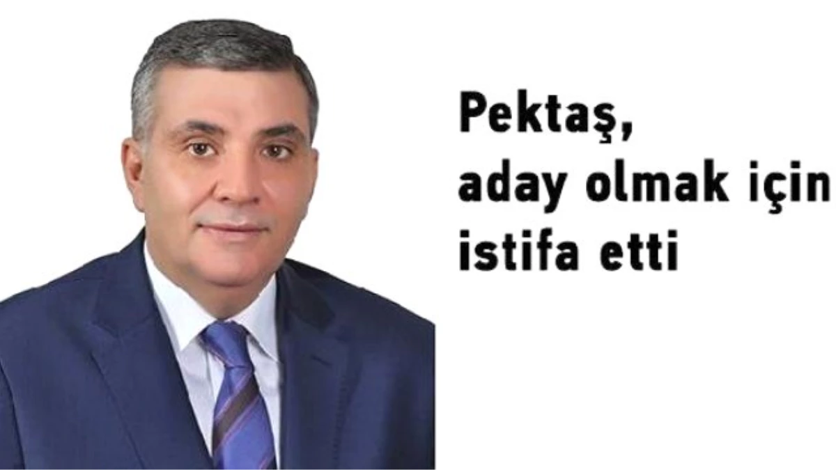 Gümüşhane\'de AK Parti 2 Milletvekili Kazandı
