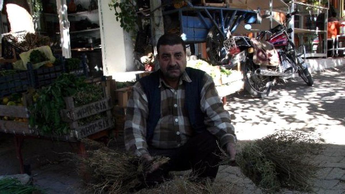 Çalı Süpürgesi Satışı Başladı