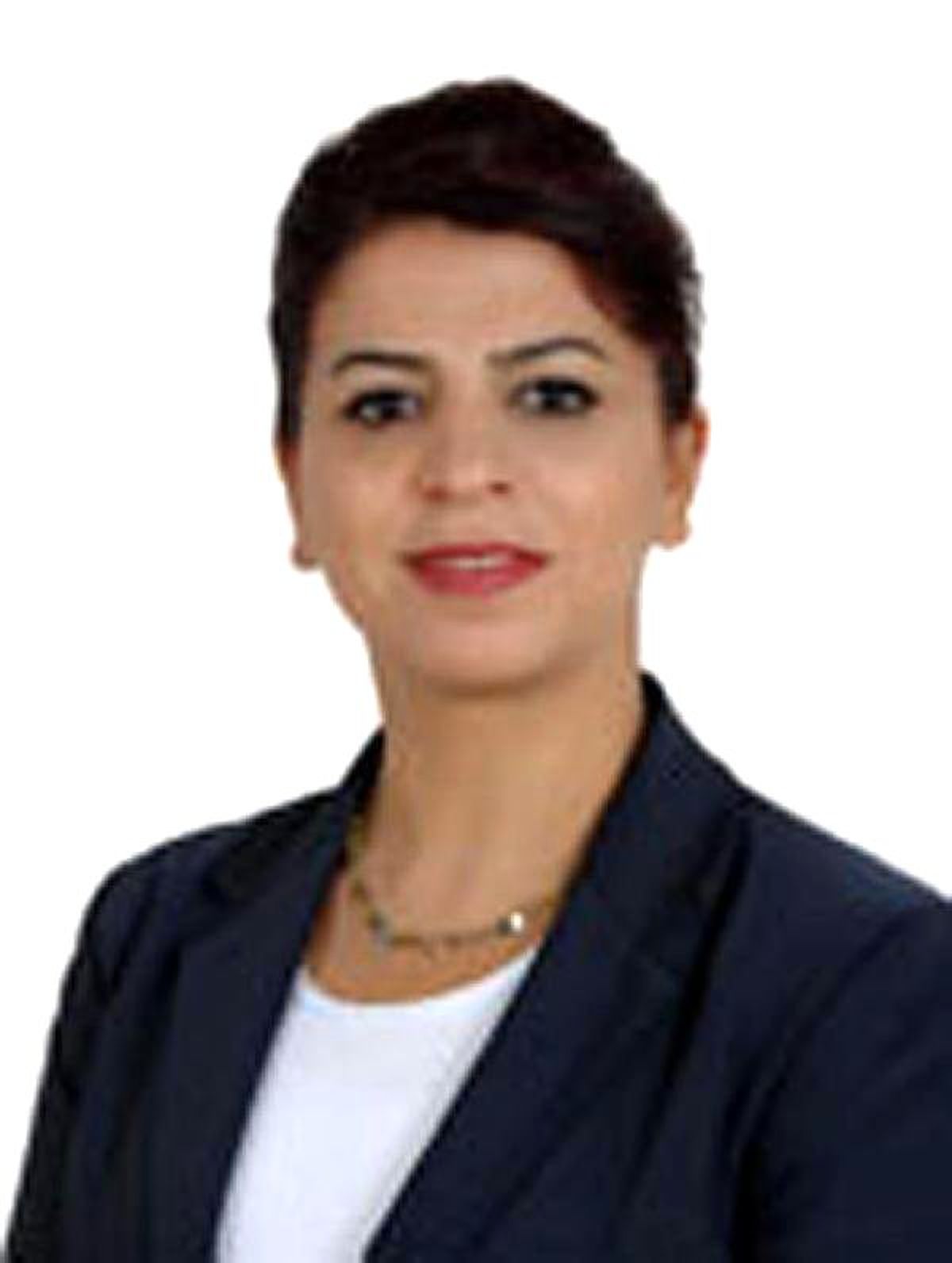 Diyarbakır\'da Hdp 9, AK Parti 2 Milletvekilliğini Kazandı