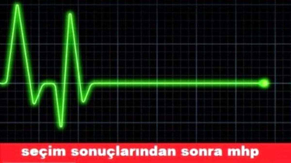 Her yerde seçim capsleri, 1 Kasım 2015 seçim capsleri