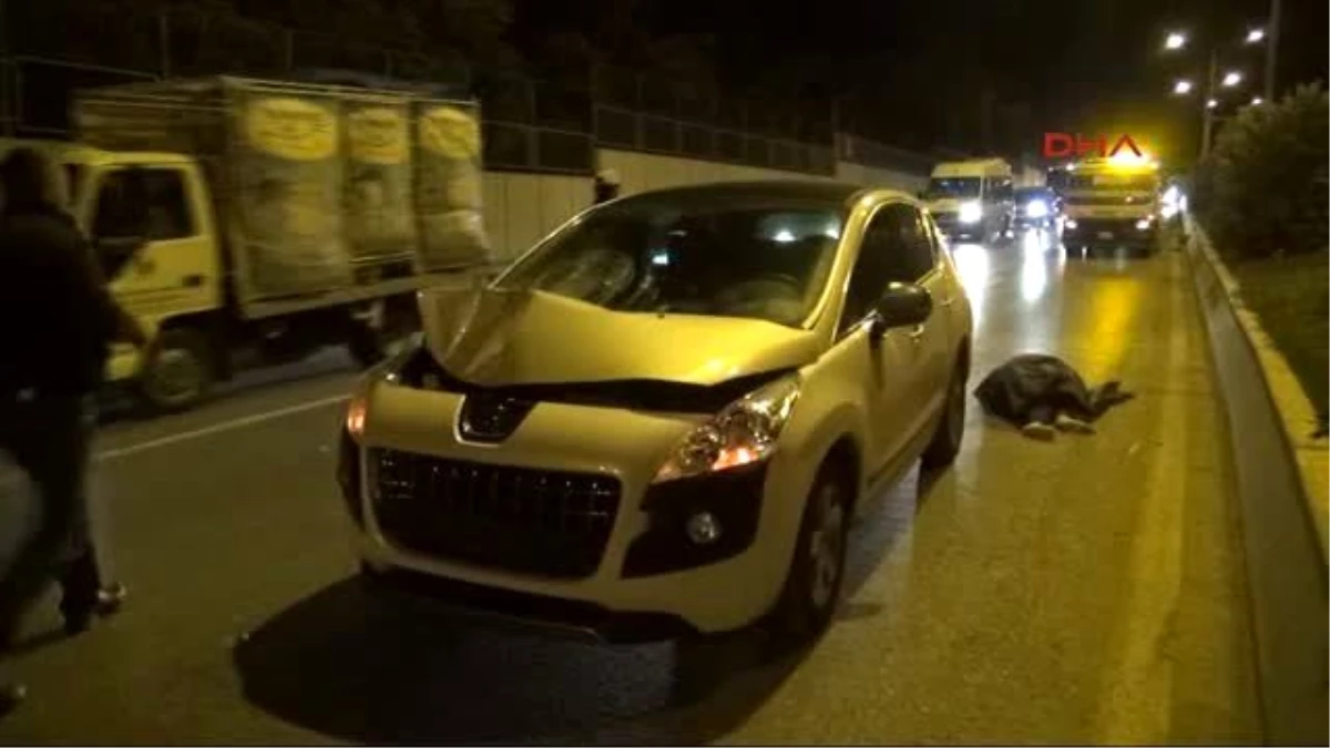 İzmir - Otomobilin Çarptığı Kadın Öldü