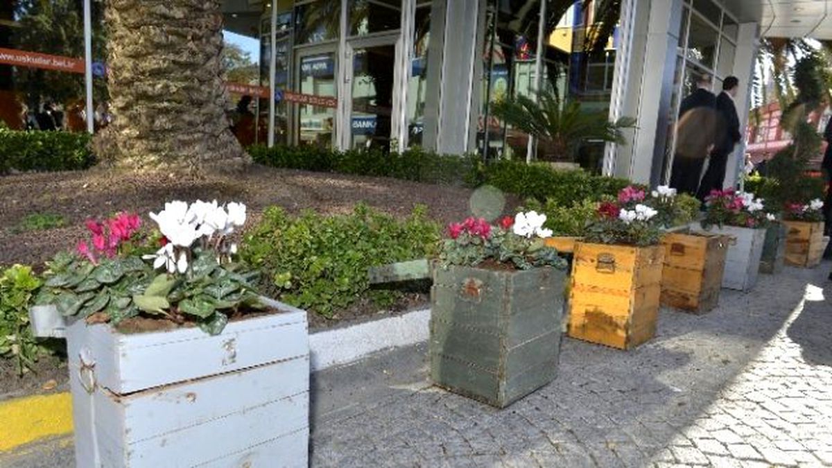 Üsküdar\'da Eski Seçim Sandıkları Çiçek Açtı