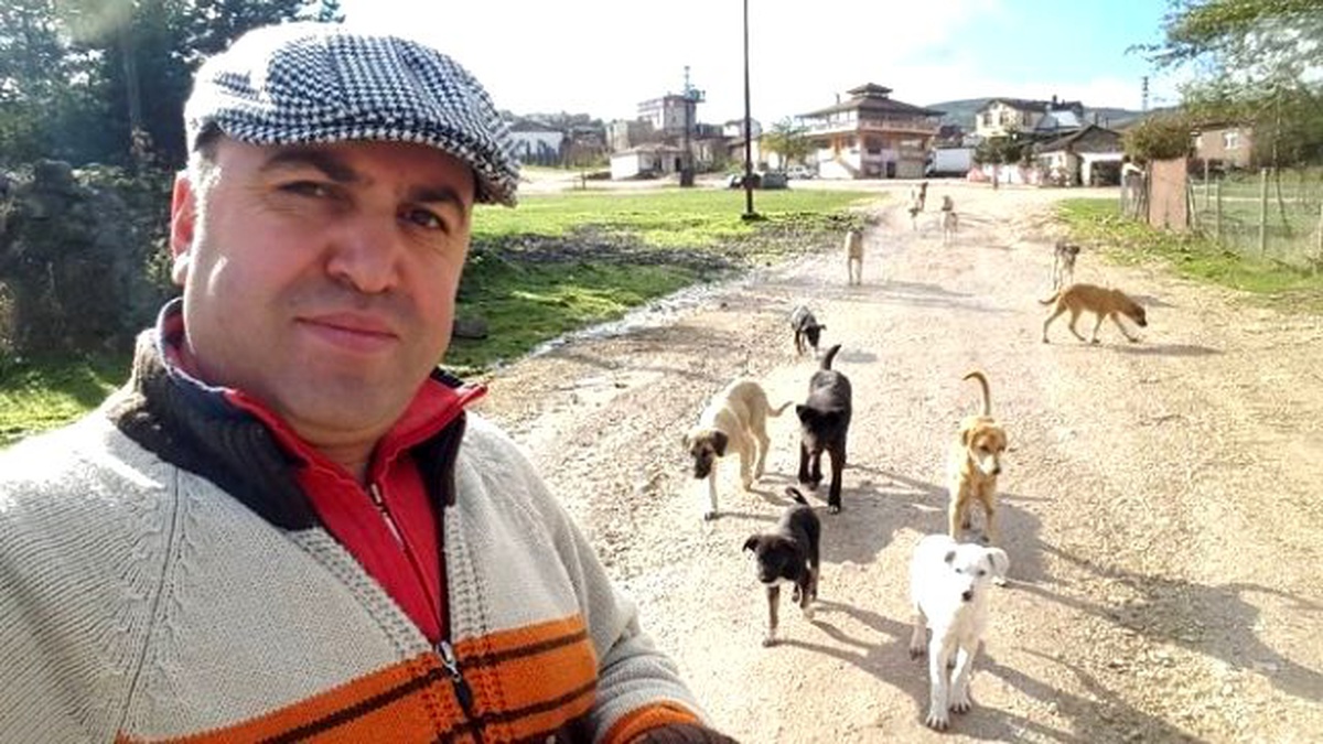 Yaylada Aç Kalan Köpekleri Besliyor
