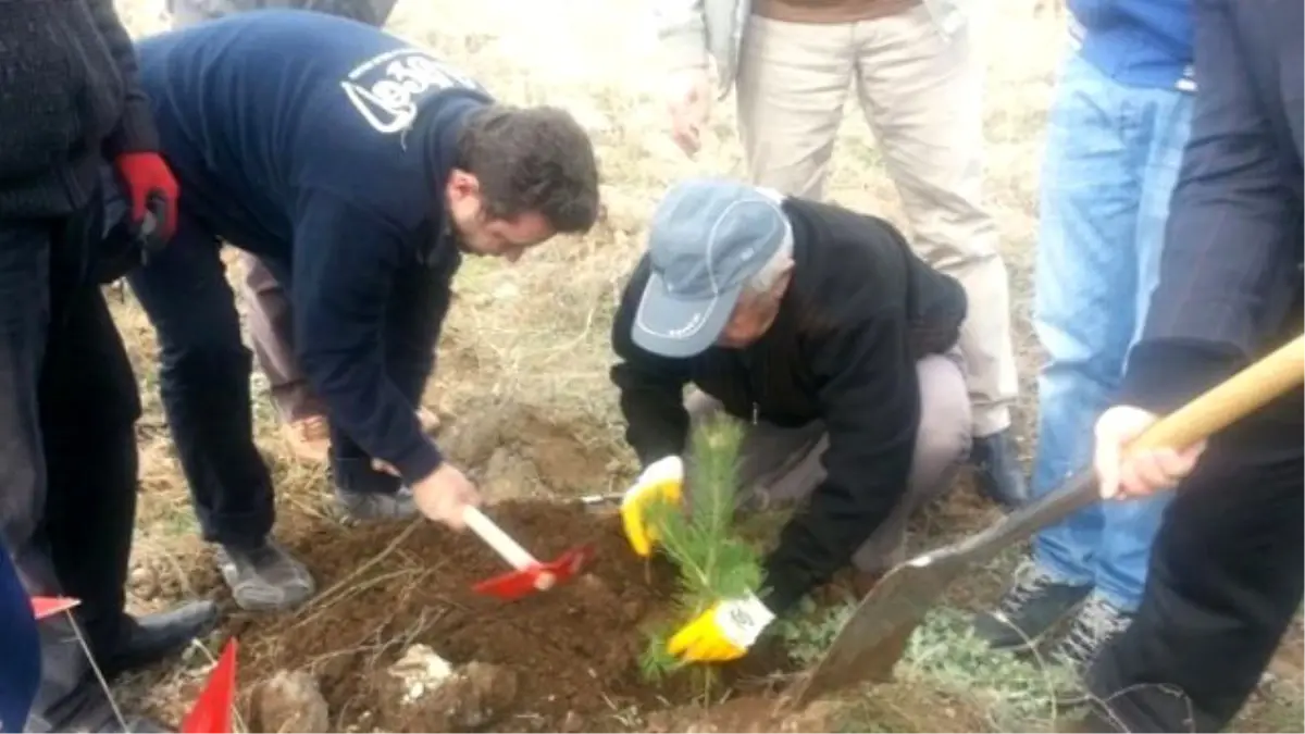 Etü Kampüs Alanına Fidan Dikimi Yapıldı