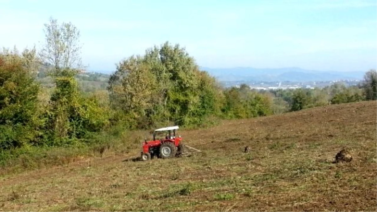 311 Dekar Mera Tohumla Buluştu