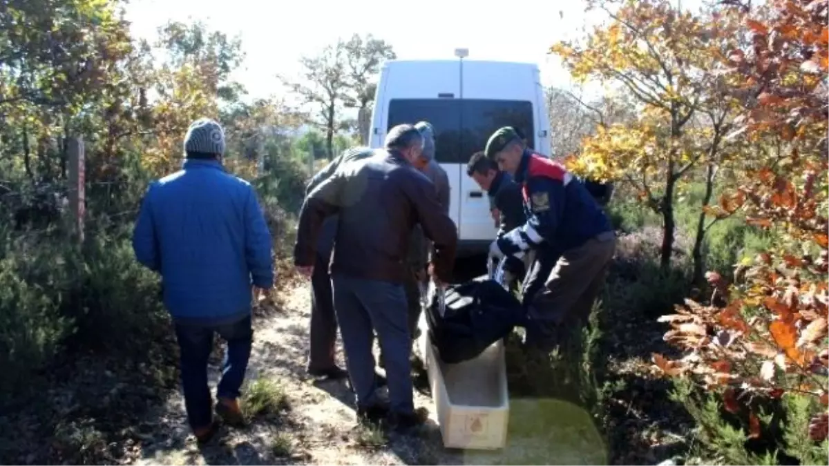 60 Yaşındaki Çobanın Cesedi Arazide Bulundu