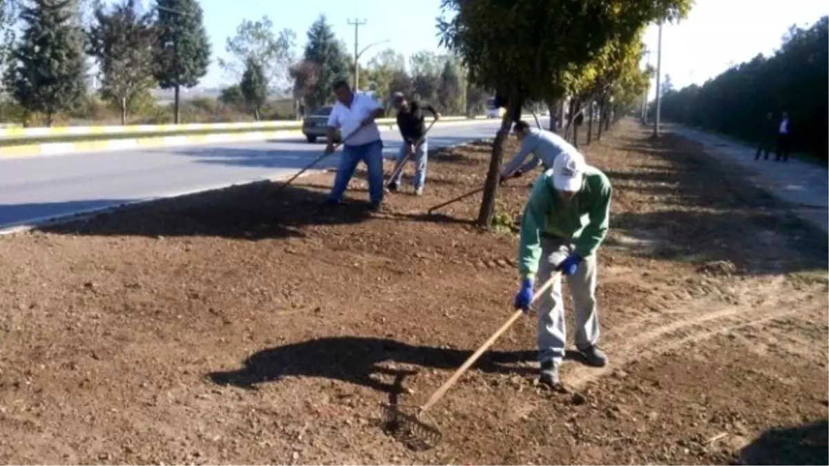 Edirne\'de Çim Ekim Çalışmaları Başladı