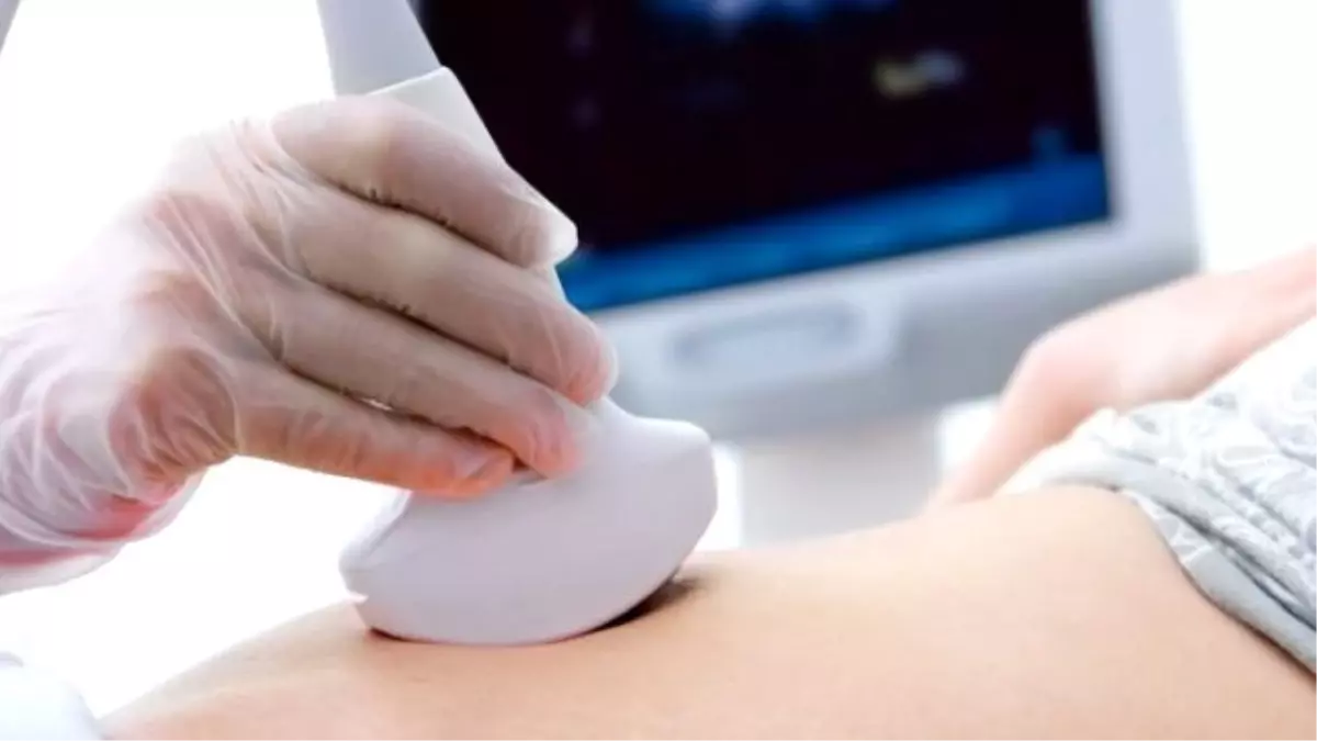 Hamile Sanılan Kızın Karnından Canlı Hayvan Çıktı!