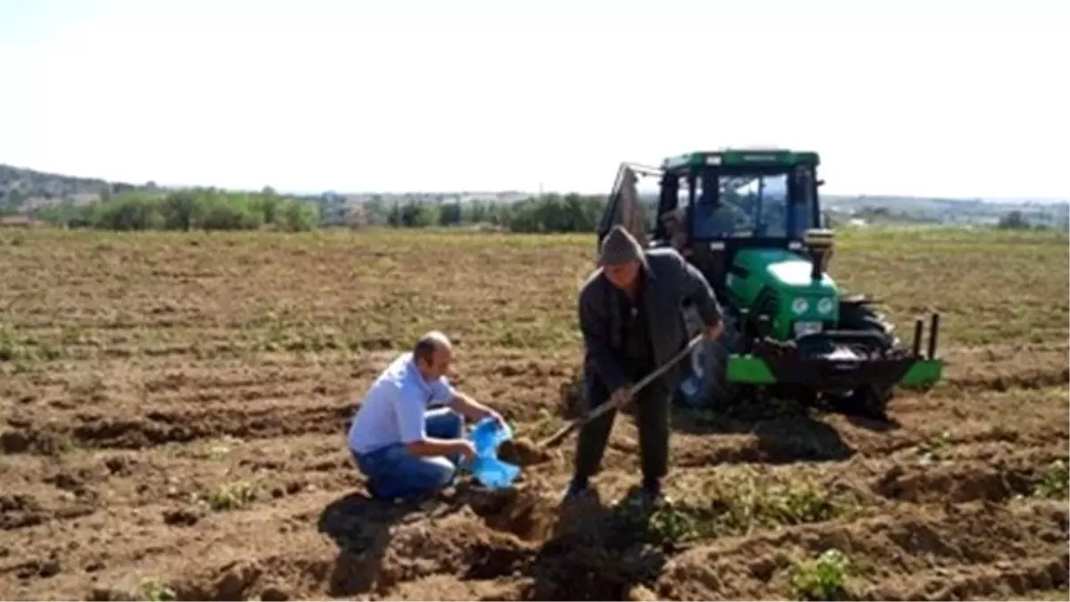 Kırklareli\'nde Buğday ve Arpa Çeşit Demonstrasyonu