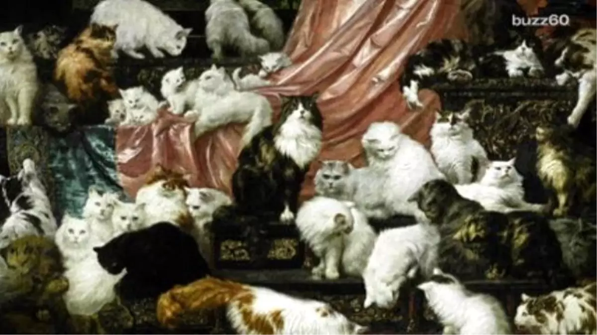 Largest Cat Painting İn The World Sells For Almost $1 Million