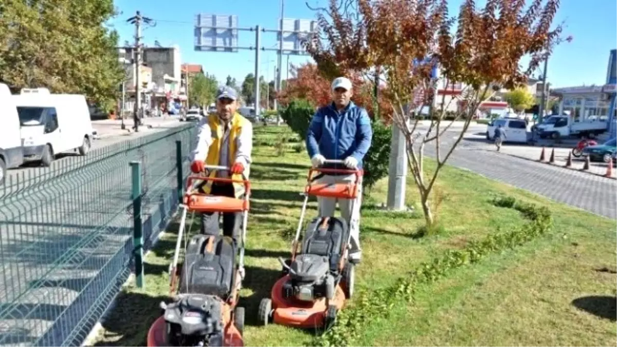 Park ve Refüjlerde Çim Biçme Çalışmaları Başladı