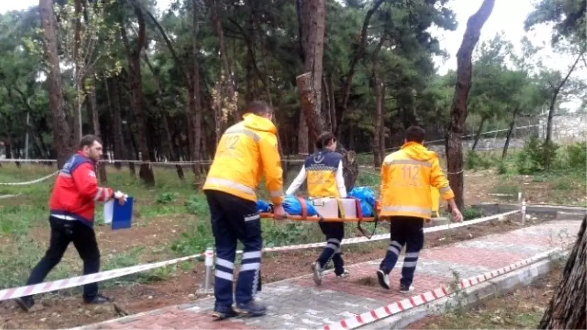 Üniralli Yarışmasında Temsil Ettiler