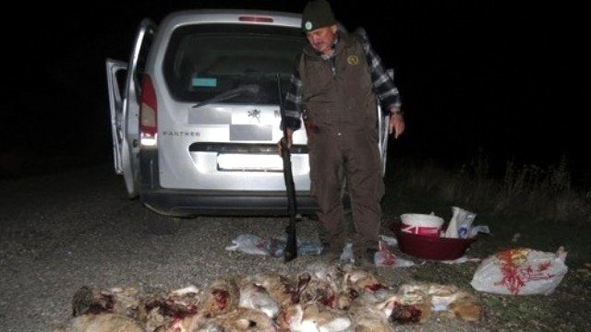 16 Adet Yaban Tavşanını Vuran 4 Kişi Yakalandı