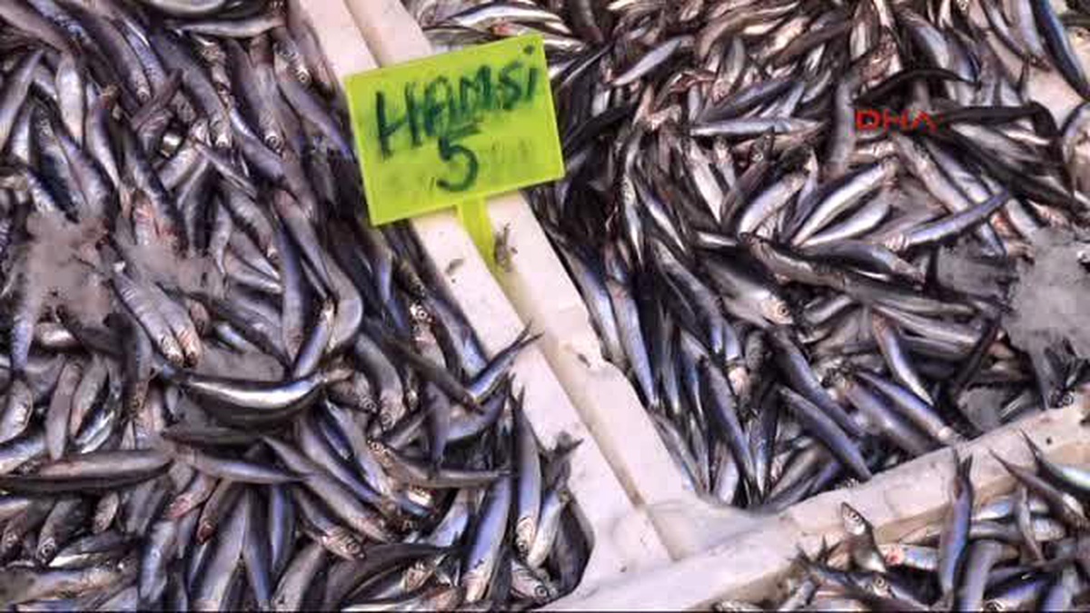 Adana\'da Hamsinin Kilosu 5, Temizlemesi 1 Lira