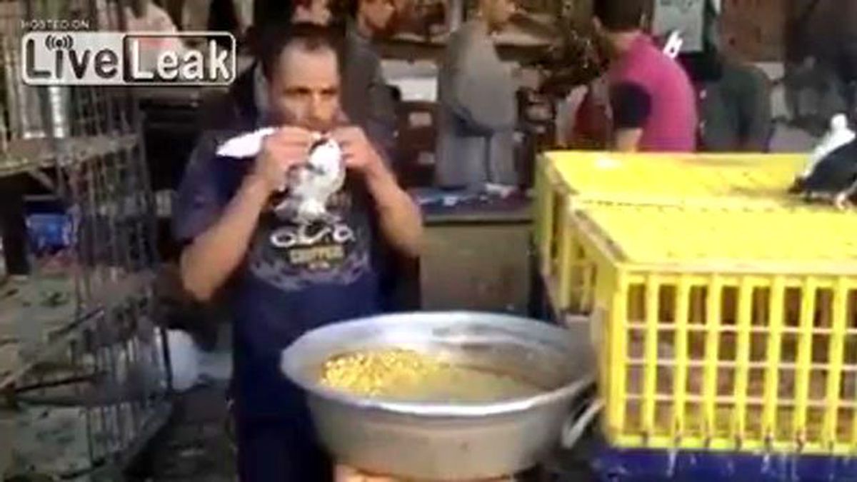 Böyle Kuş Besleme Görülmedi