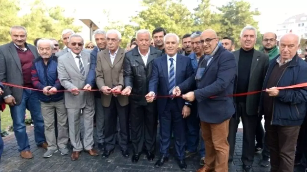 Demokrasi Anlayışının Ürünü "Ortanca Parkı" Açıldı