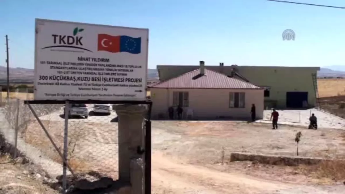 Erkek İşi