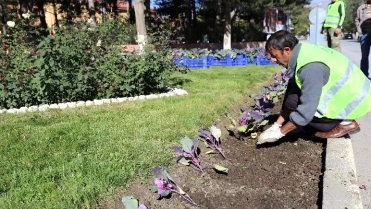 Erzincan Belediyesi 40 Bin Çiçeği Toprakla Buluşturdu