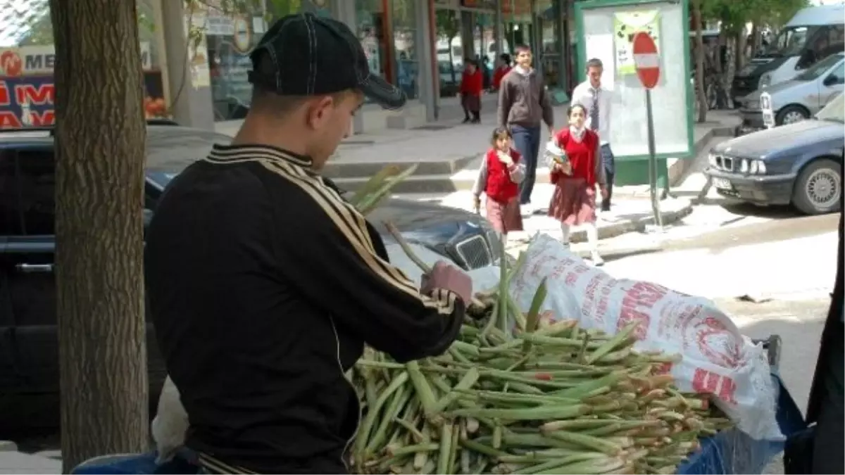 Içkın\' Kanser Hücrelerini Öldürüyor