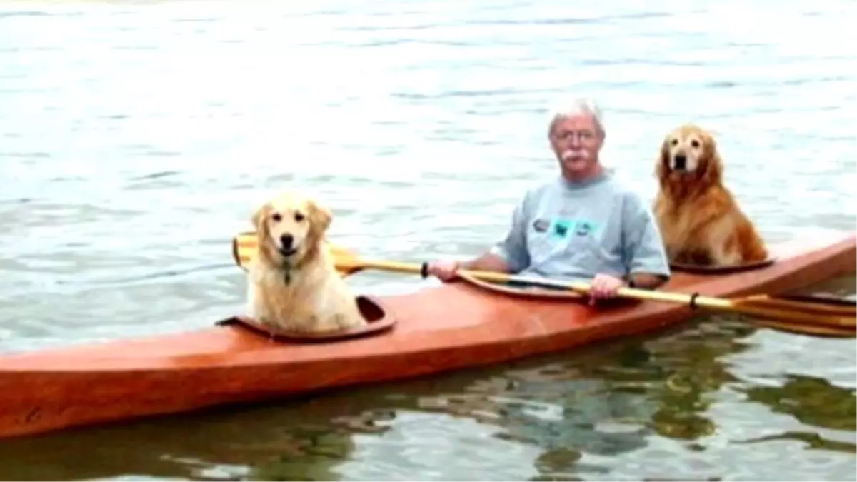 Man Builds Kayak That Fits His Two Dogs